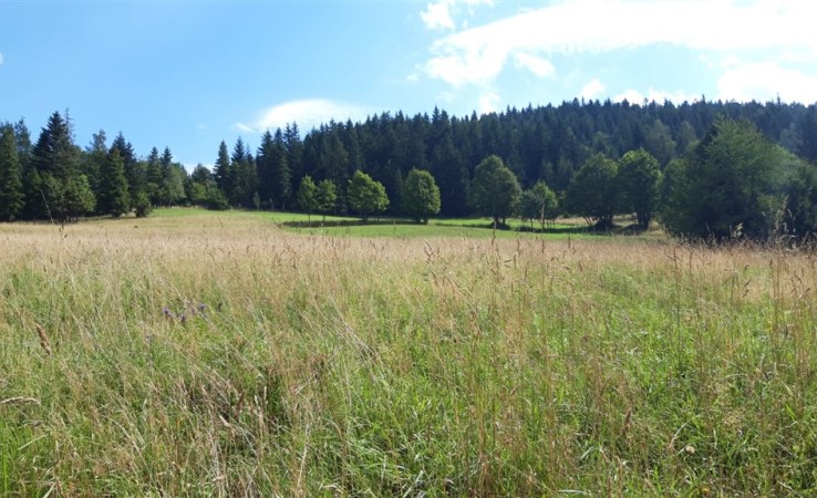 działka na sprzedaż - Zawoja