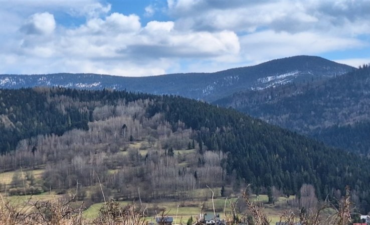 działka na sprzedaż - Zawoja