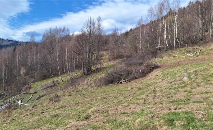 działka na sprzedaż - Zawoja