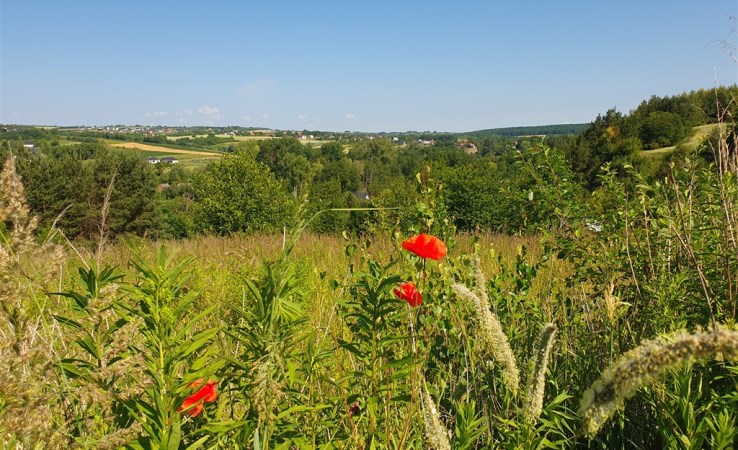 działka na sprzedaż - Michałowice