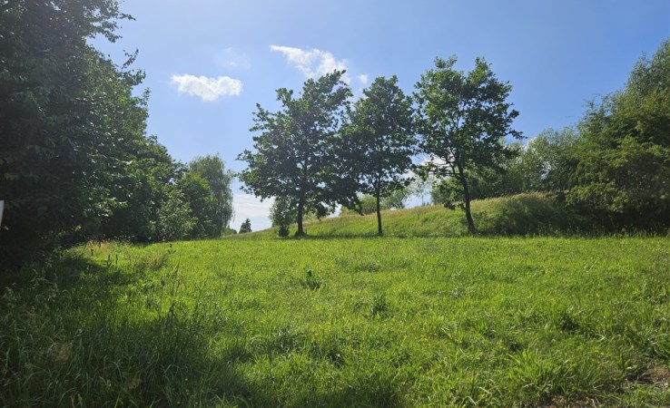 parcel for sale - vir_listalng_polska, Podstolice