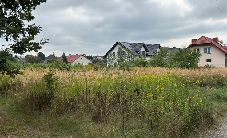 działka na sprzedaż - Czarnochowice