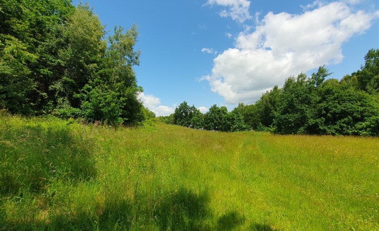 parcel for sale - vir_listalng_polska, Szczodrkowice