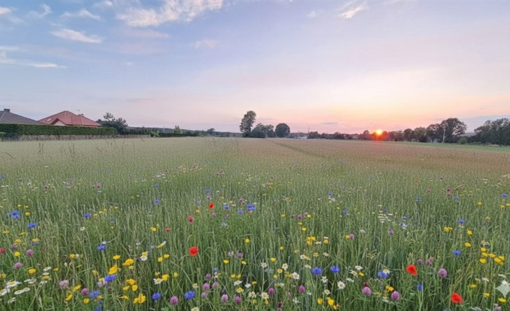 działka na sprzedaż - Nowy Adamów
