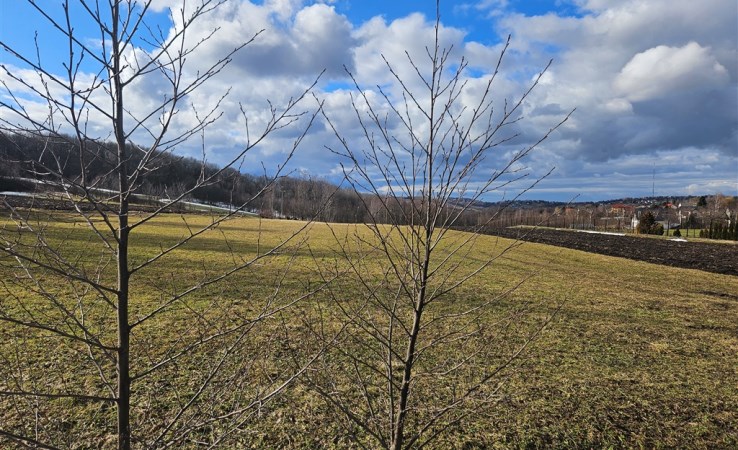 działka na sprzedaż - Sułów