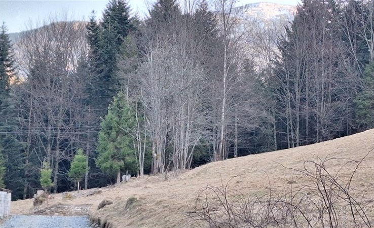 działka na sprzedaż - Zawoja