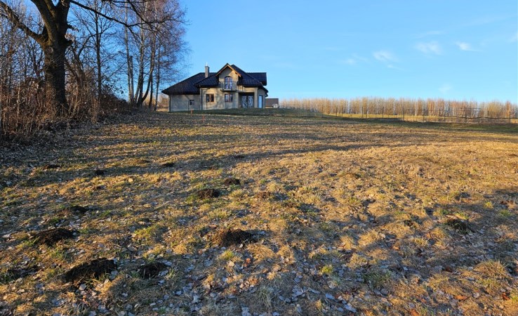 działka na sprzedaż - Chorągwica