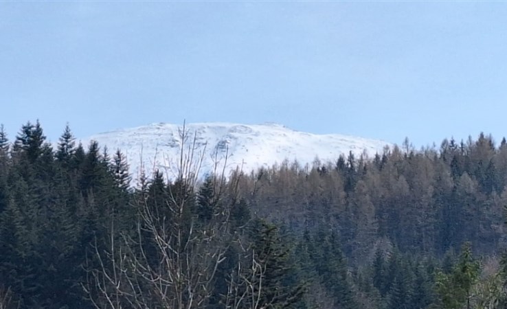 działka na sprzedaż - Zawoja