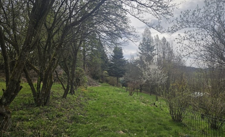 działka na sprzedaż - Głogoczów