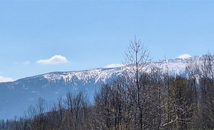 dom na sprzedaż - Zawoja