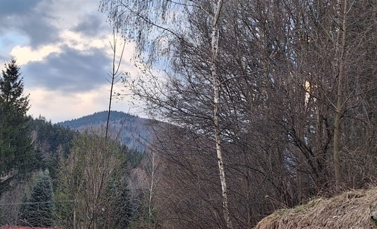 działka na sprzedaż - Zawoja