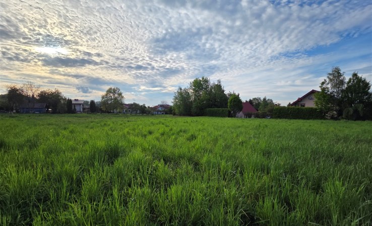 działka na sprzedaż - Libertów, Zgodna