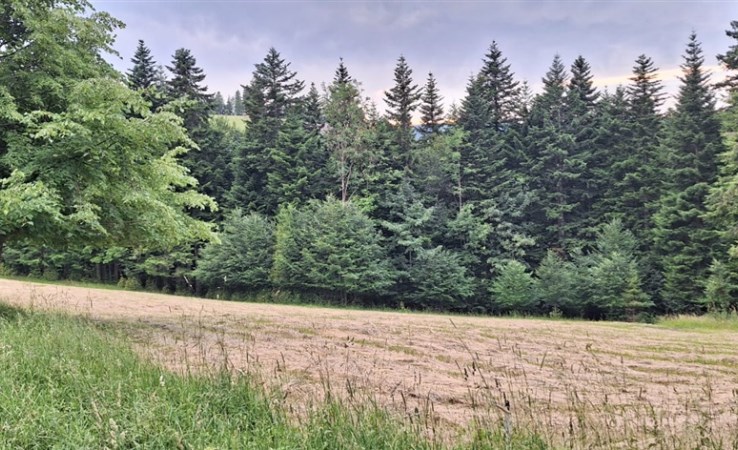 działka na sprzedaż - Zawoja