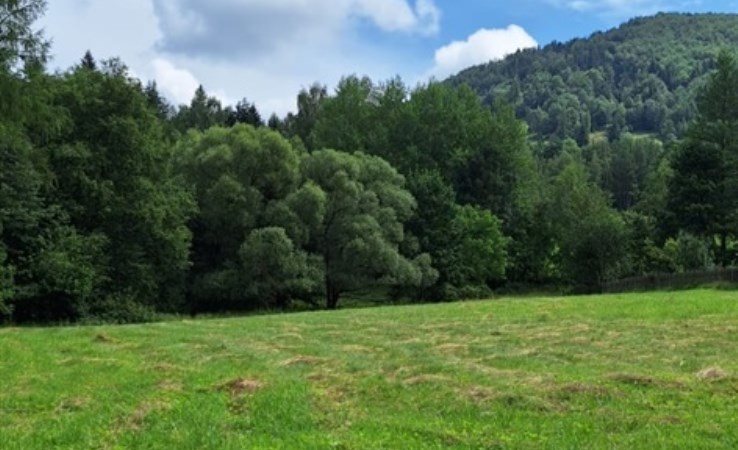działka na sprzedaż - Zawoja