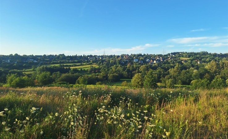 działka na sprzedaż - Golkowice