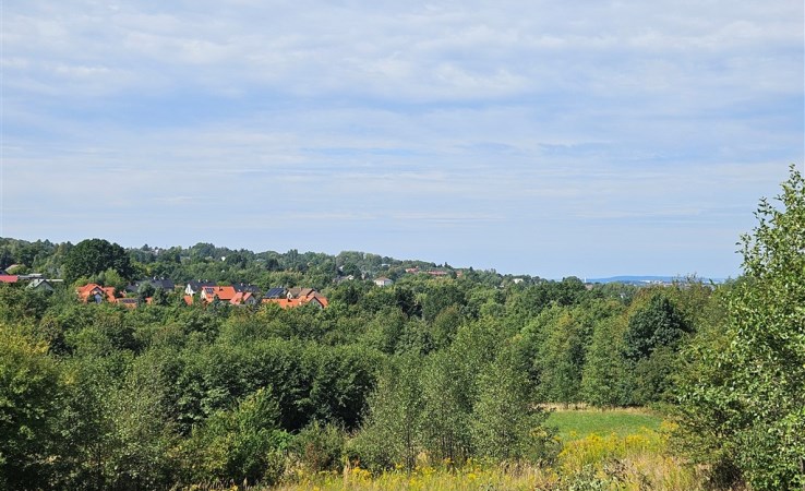 działka na sprzedaż - Tomaszkowice