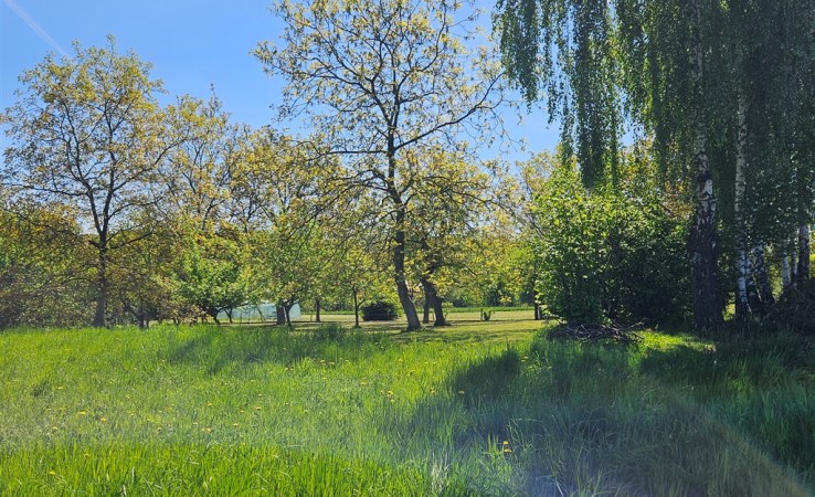 działka na sprzedaż - Tomaszkowice