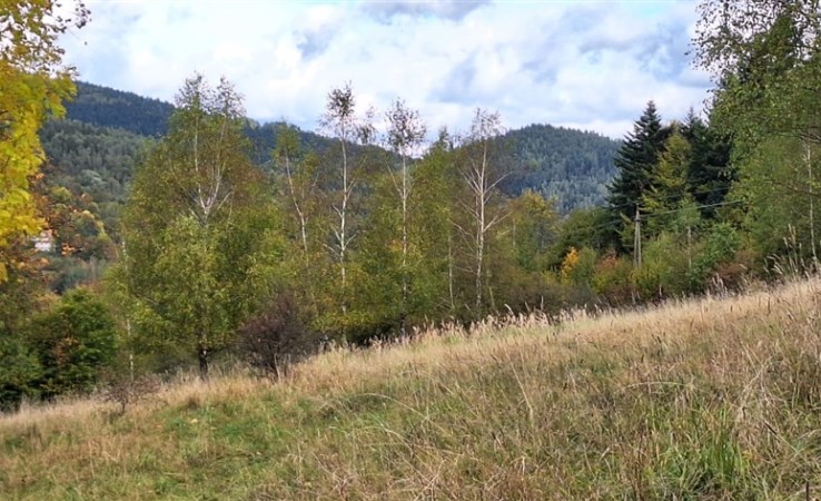 działka na sprzedaż - Zawoja