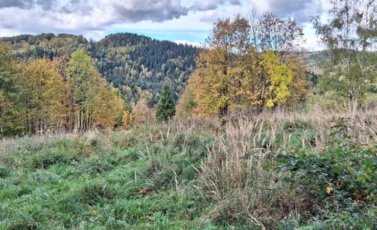 działka na sprzedaż - Zawoja
